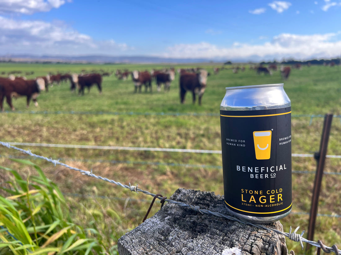 Crackin' open a Greener Future: The Sustainable Brewing Revolution